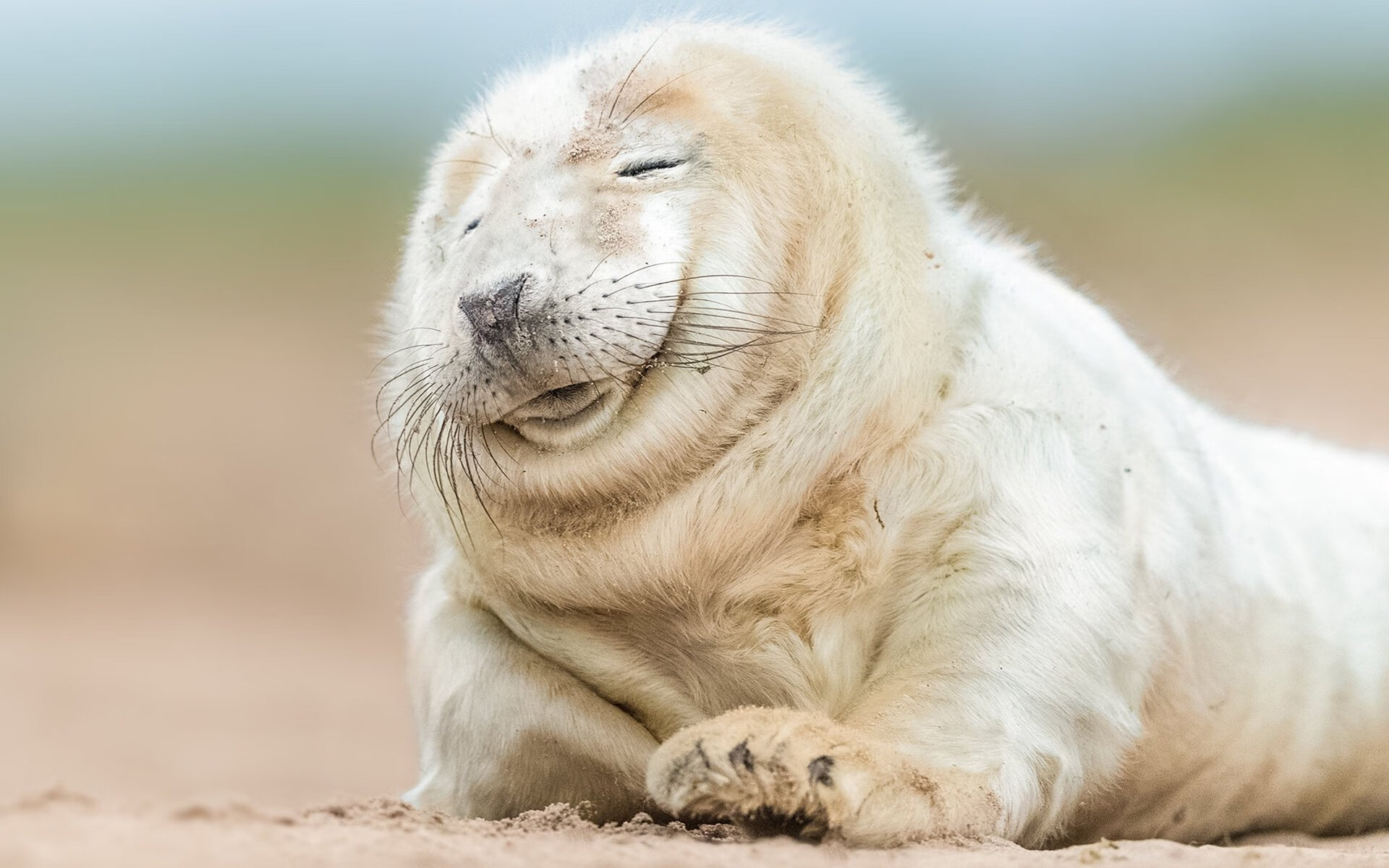 _退役运动员表演赛：缅怀历史，振奋精神_，退役军人运动员