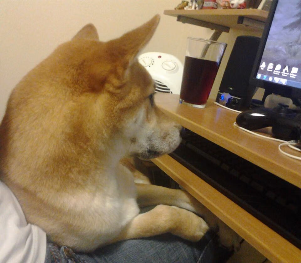 九游网页版入口-伊朗反曲弓男队在泛美锦标赛中夺冠，反曲弓竞技比赛